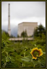 images2